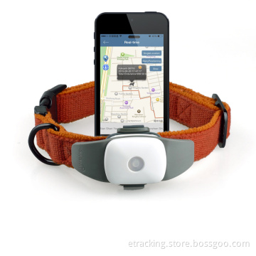 2015 Newest Mini Pet GPS Tracker for Dog/Cat Appello 4p Waterproof Ipx7 Tracking on APP, No Need to Set by SMS Anymore